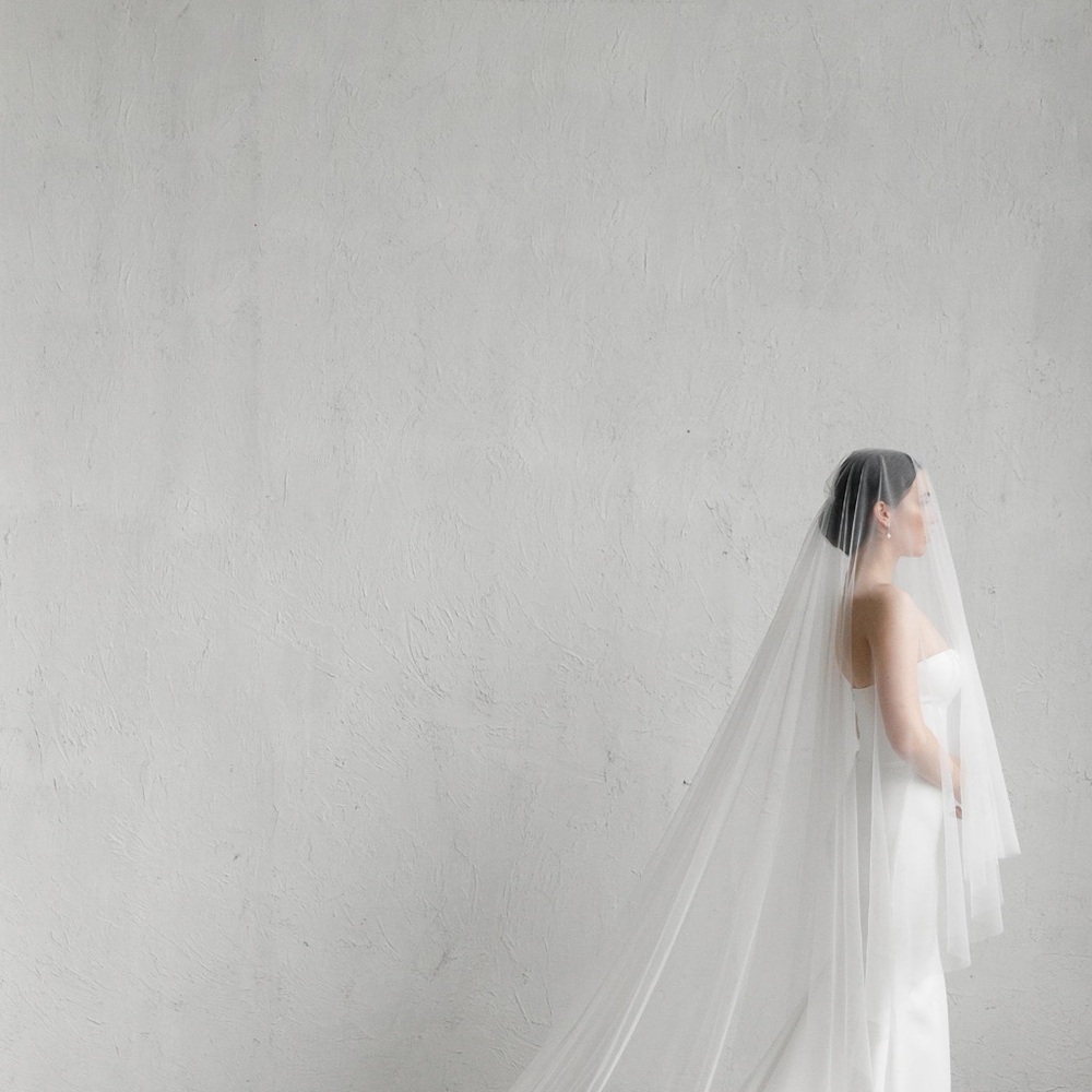 Elegant White Bridal Veil